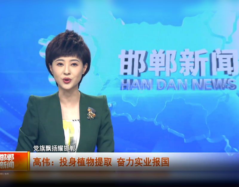 【黨旗飄揚耀邯鄲】高偉：投身植物提取 奮力實業(yè)報國