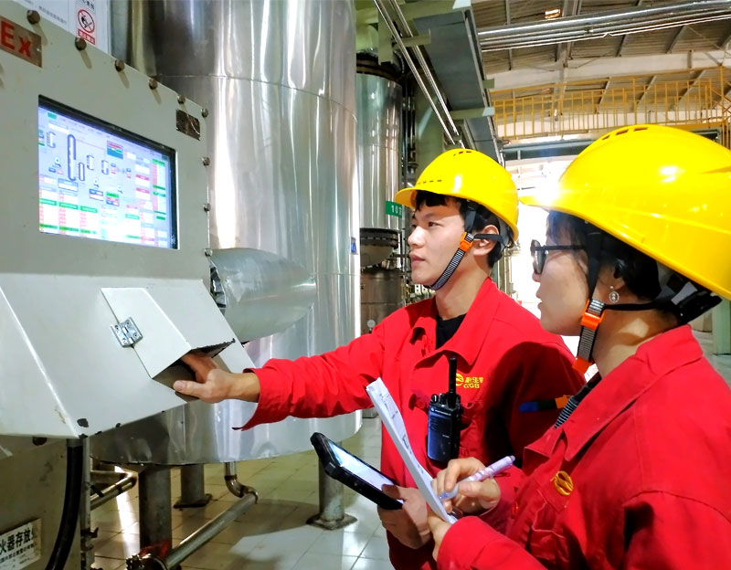 【河北日報】晨光產的“糖”，吃了不長胖