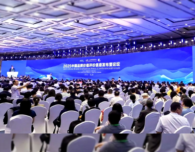 2025中國品牌價值評價信息發(fā)布丨晨光生物品牌價值突破50億元